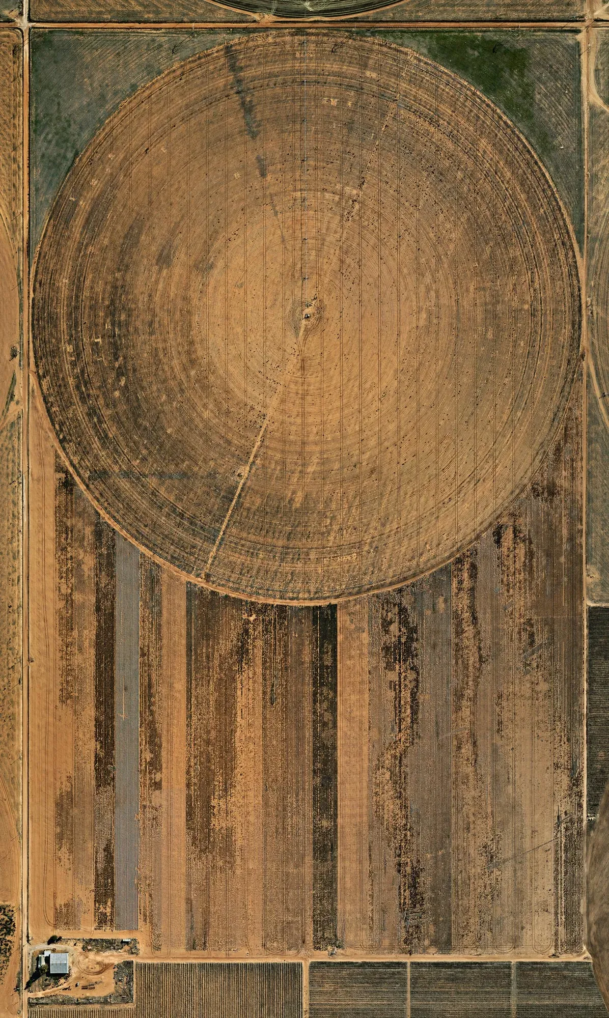 arial view of Pivot Irrigation in Texas