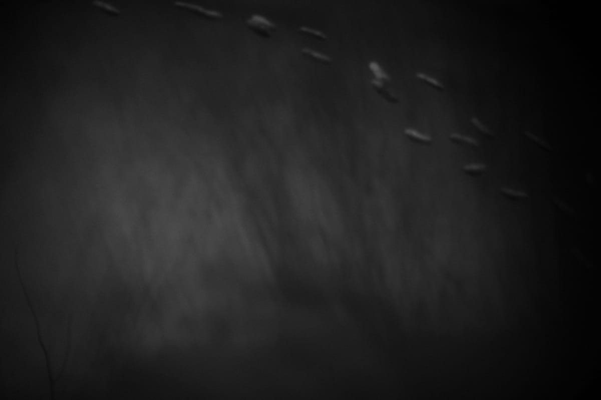 Sources Resources, Recent Finds for February 2026