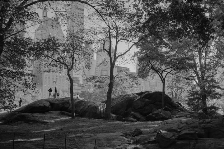 view of Central Park, NYC with people in the middle ground and tall buildings in the background